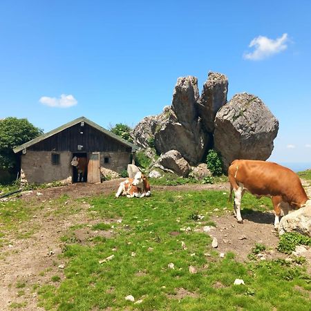 Ferienhaus Westerbuchberg 우베르시 외부 사진