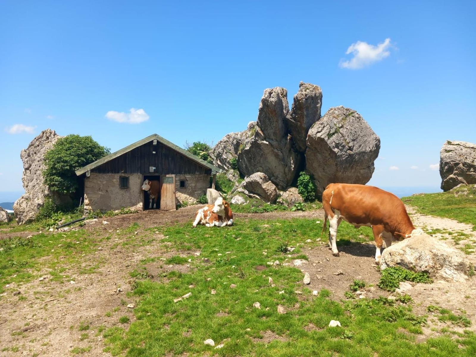 Ferienhaus Westerbuchberg 우베르시 외부 사진